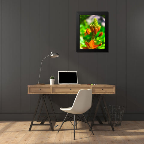 Orange Blooms II Black Modern Wood Framed Art Print by Grayscale