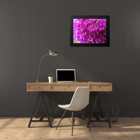 Purple Cluster III Black Modern Wood Framed Art Print by Grayscale