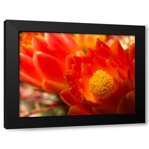 Natural Reactor IV Black Modern Wood Framed Art Print with Double Matting by Grayscale