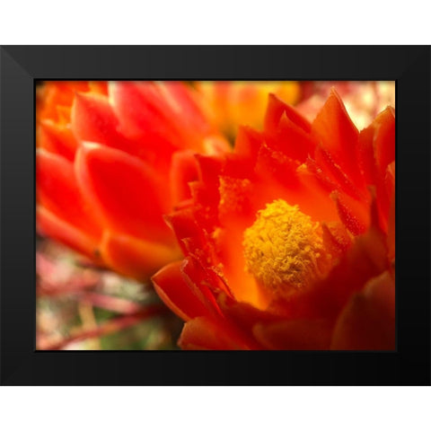 Natural Reactor IV Black Modern Wood Framed Art Print by Grayscale