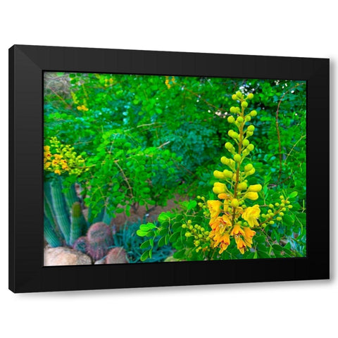 Yellow Blooms II Black Modern Wood Framed Art Print by Grayscale