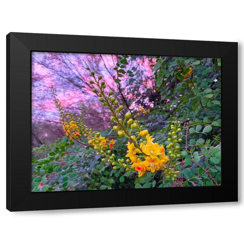 Yellow Blooms IV Black Modern Wood Framed Art Print by Grayscale