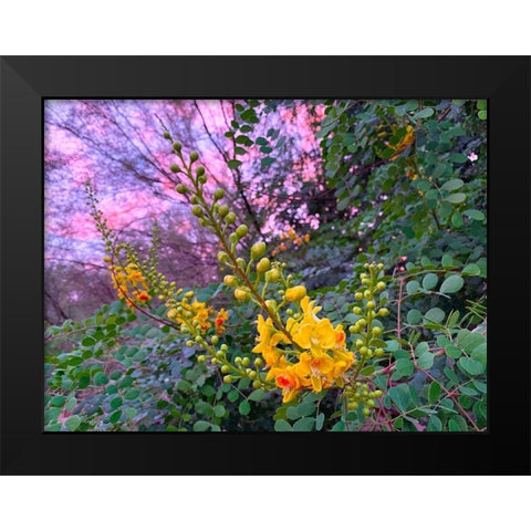 Yellow Blooms IV Black Modern Wood Framed Art Print by Grayscale