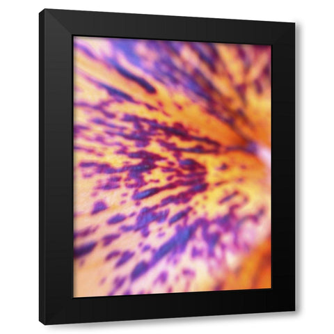 Lava Leaf I Black Modern Wood Framed Art Print with Double Matting by Grayscale
