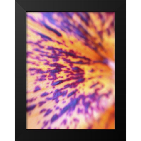 Lava Leaf I Black Modern Wood Framed Art Print by Grayscale