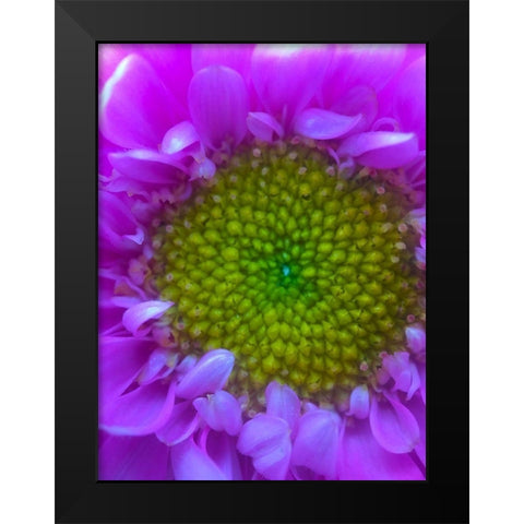 Flower Center I Black Modern Wood Framed Art Print by Grayscale