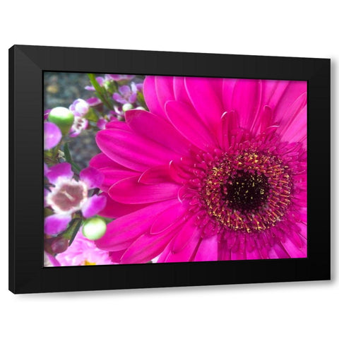 Flower Center II Black Modern Wood Framed Art Print with Double Matting by Grayscale