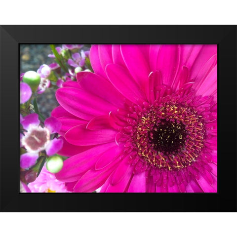 Flower Center II Black Modern Wood Framed Art Print by Grayscale