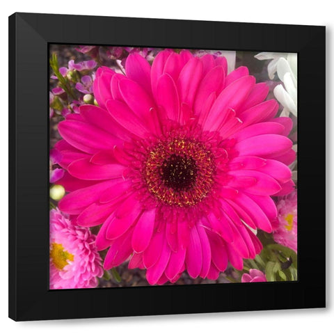 Flower Center III Black Modern Wood Framed Art Print by Grayscale