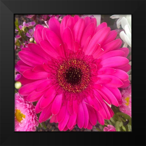 Flower Center III Black Modern Wood Framed Art Print by Grayscale