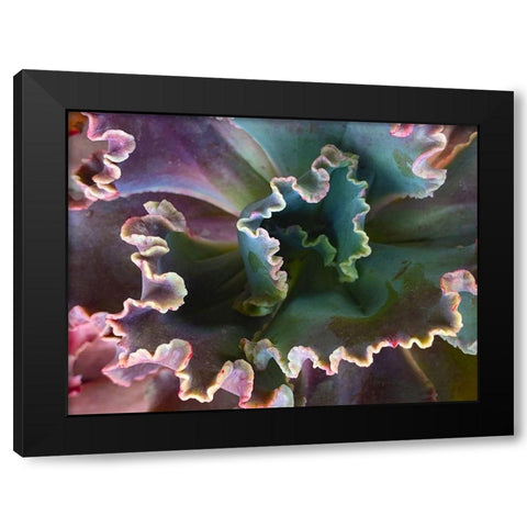 Ribbons I Black Modern Wood Framed Art Print with Double Matting by Grayscale