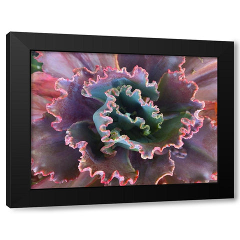 Ribbons II Black Modern Wood Framed Art Print by Grayscale