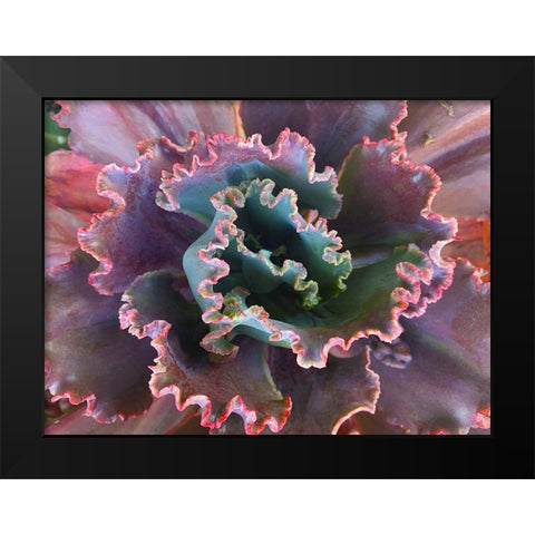 Ribbons II Black Modern Wood Framed Art Print by Grayscale