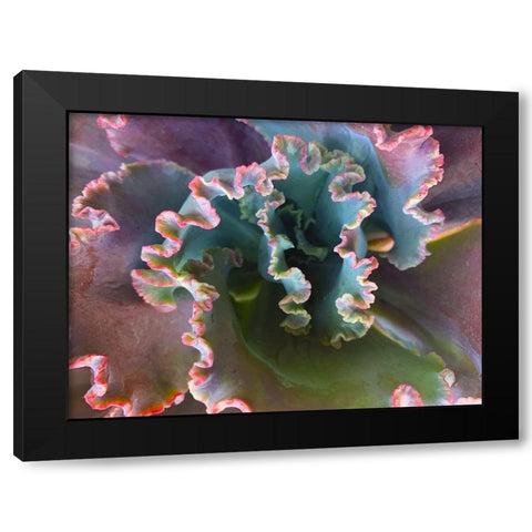 Ribbons III Black Modern Wood Framed Art Print by Grayscale