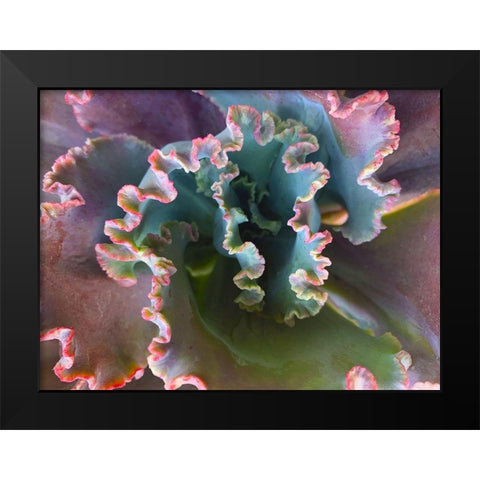 Ribbons III Black Modern Wood Framed Art Print by Grayscale