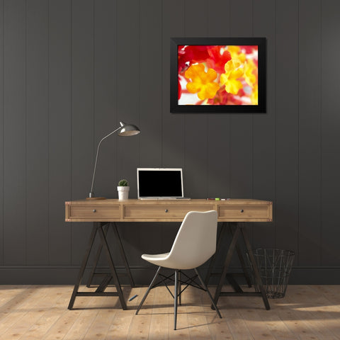 Lantana VI Black Modern Wood Framed Art Print by Grayscale