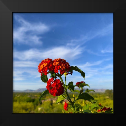 Lantana X Black Modern Wood Framed Art Print by Grayscale
