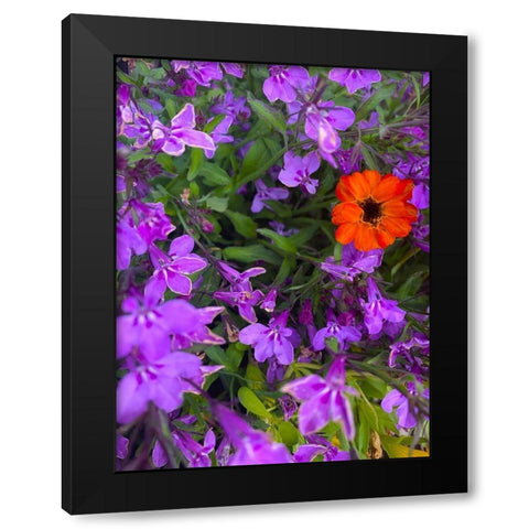 Flower Spot I Black Modern Wood Framed Art Print by Grayscale