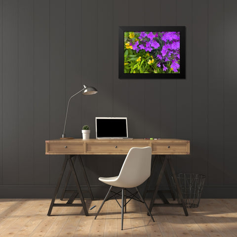 Flower Spot III Black Modern Wood Framed Art Print by Grayscale