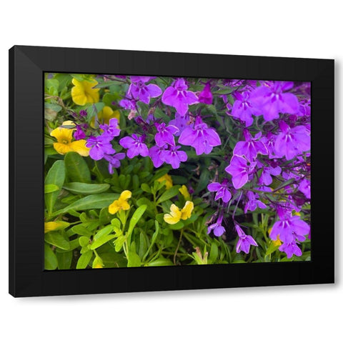 Flower Spot III Black Modern Wood Framed Art Print with Double Matting by Grayscale