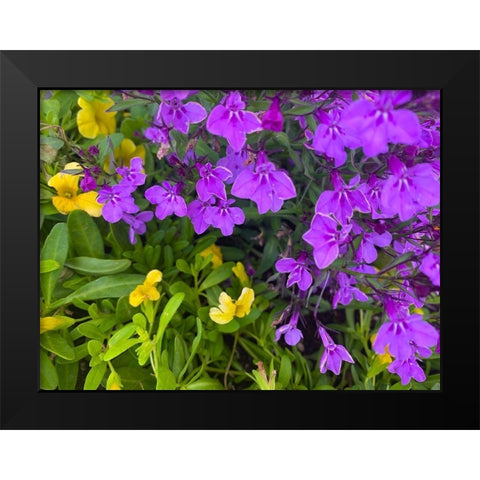 Flower Spot III Black Modern Wood Framed Art Print by Grayscale