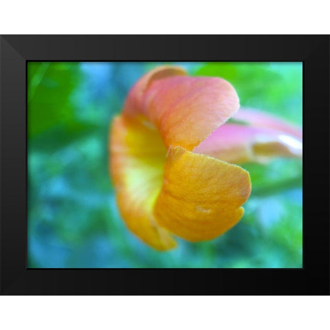 Cactus Flower VI Black Modern Wood Framed Art Print by Grayscale