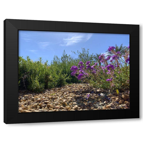 Rock Path I Black Modern Wood Framed Art Print by Grayscale