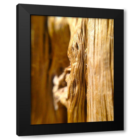 Wood Fiber I Black Modern Wood Framed Art Print by Grayscale