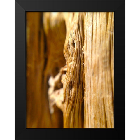 Wood Fiber I Black Modern Wood Framed Art Print by Grayscale