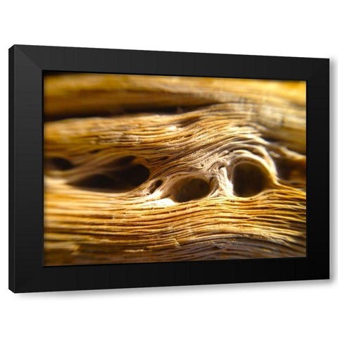 Wood Fiber II Black Modern Wood Framed Art Print by Grayscale