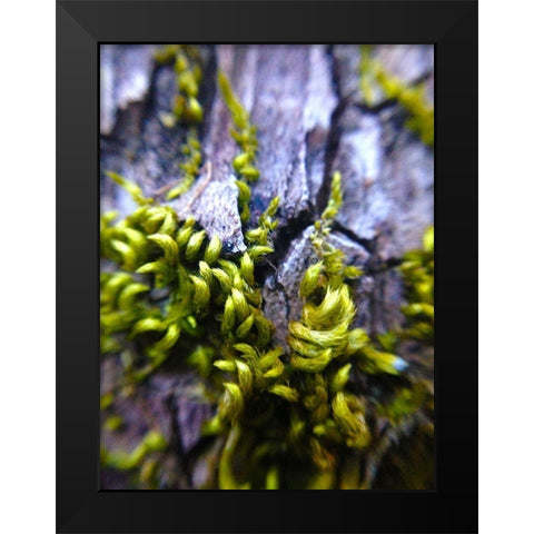 Bark Hair I Black Modern Wood Framed Art Print by Grayscale
