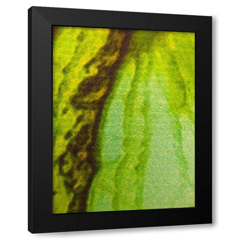 Canvas Closeup V Black Modern Wood Framed Art Print with Double Matting by Grayscale