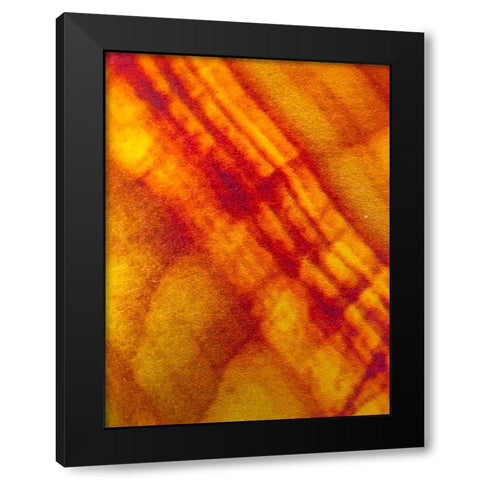 Canvas Closeup VI Black Modern Wood Framed Art Print with Double Matting by Grayscale