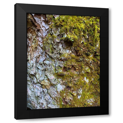 Bark and Moss I Black Modern Wood Framed Art Print with Double Matting by Grayscale