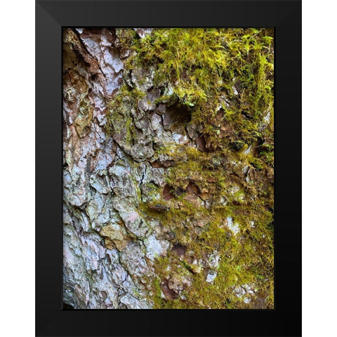 Bark and Moss I Black Modern Wood Framed Art Print by Grayscale