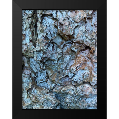 Bark Scales I Black Modern Wood Framed Art Print by Grayscale