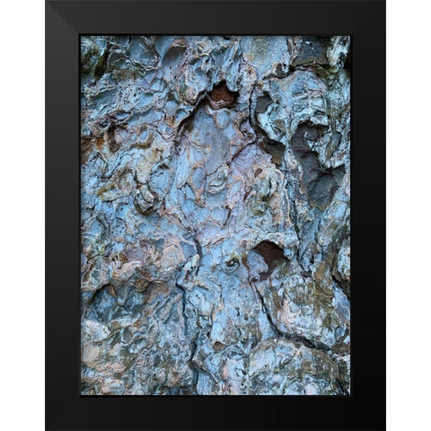 Bark Scales III Black Modern Wood Framed Art Print by Grayscale