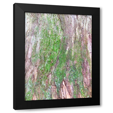 Bark and Moss II Black Modern Wood Framed Art Print with Double Matting by Grayscale