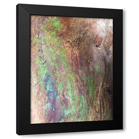 Bark and Moss III Black Modern Wood Framed Art Print with Double Matting by Grayscale