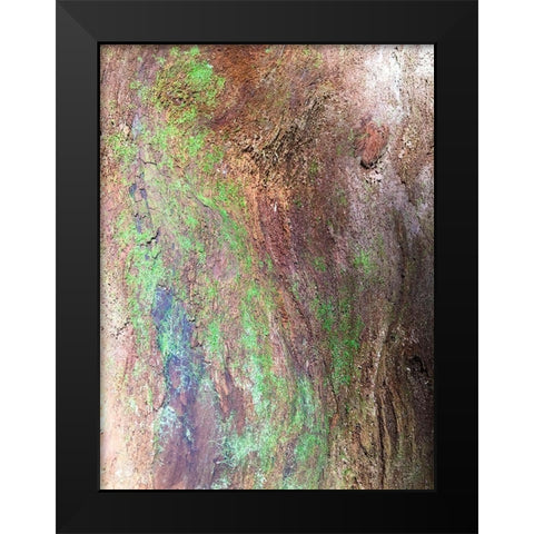 Bark and Moss III Black Modern Wood Framed Art Print by Grayscale