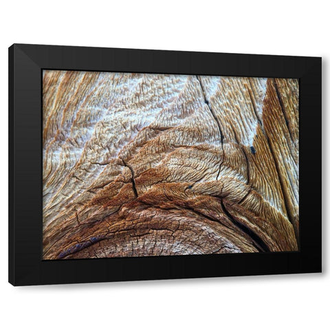 Bark Arc I Black Modern Wood Framed Art Print with Double Matting by Grayscale