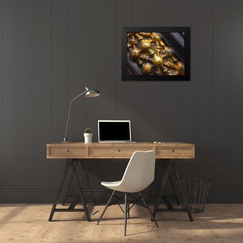 Frame Pic II Black Modern Wood Framed Art Print by Grayscale
