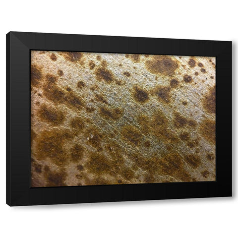 Silver Texture I Black Modern Wood Framed Art Print with Double Matting by Grayscale