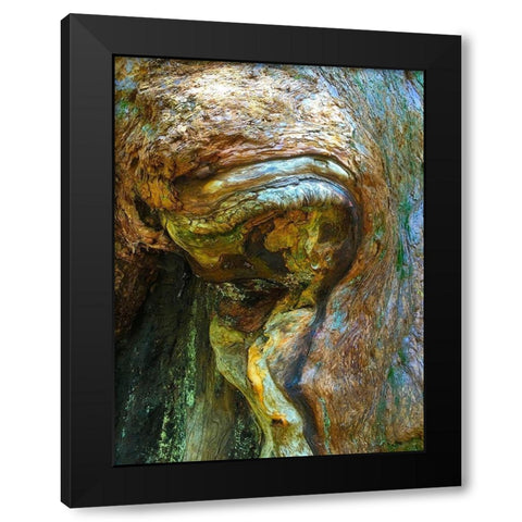 Wood Texture VI Black Modern Wood Framed Art Print with Double Matting by Grayscale