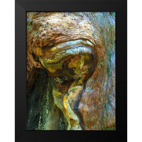 Wood Texture VI Black Modern Wood Framed Art Print by Grayscale