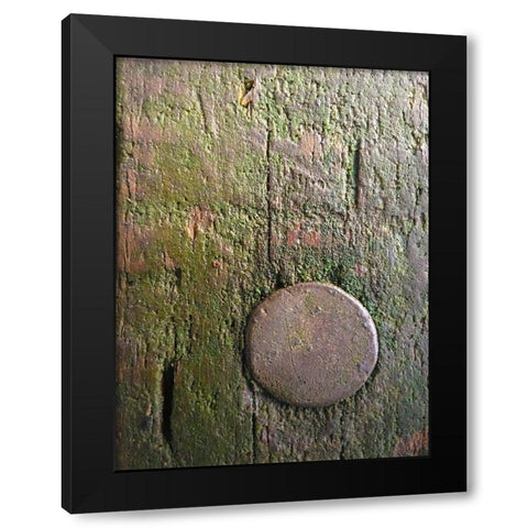 Wood Texture VIII Black Modern Wood Framed Art Print with Double Matting by Grayscale