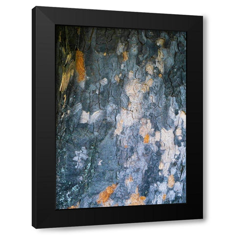 Bark Scales IV Black Modern Wood Framed Art Print by Grayscale