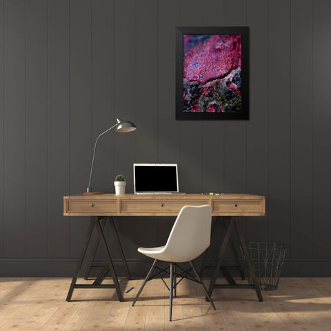 Red Aggregate I Black Modern Wood Framed Art Print by Grayscale