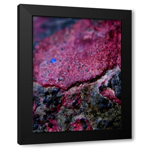 Red Aggregate I Black Modern Wood Framed Art Print by Grayscale