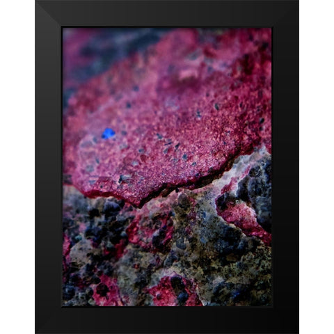 Red Aggregate I Black Modern Wood Framed Art Print by Grayscale